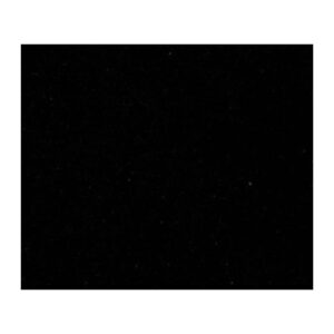 33013595