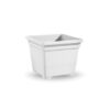 33041116